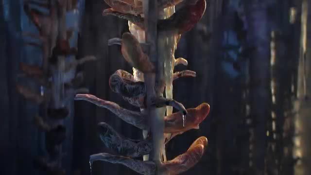 Spring. Blender open movie
