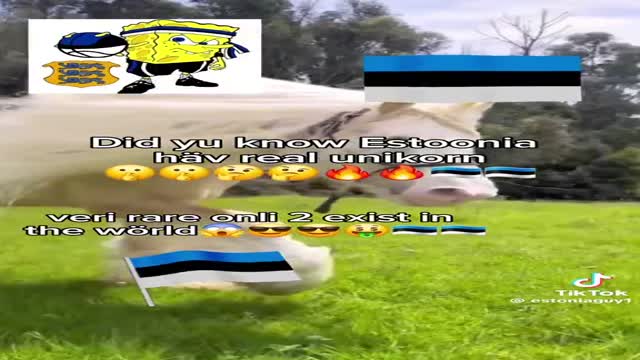 estonia part 5