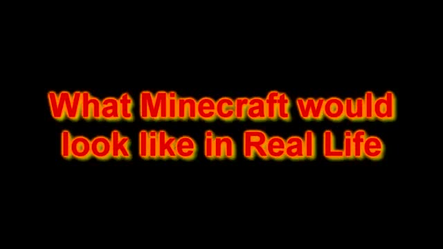 Minecraft but in Real Life (2016 Edition)